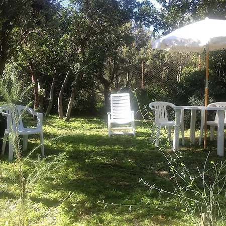 Antichi Aromi Bed & Breakfast *
